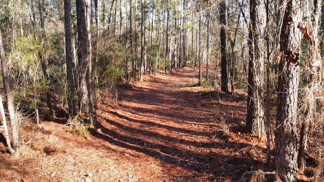 $2,100,000 | 0 Harristown Road, St. Stephen, SC 29479