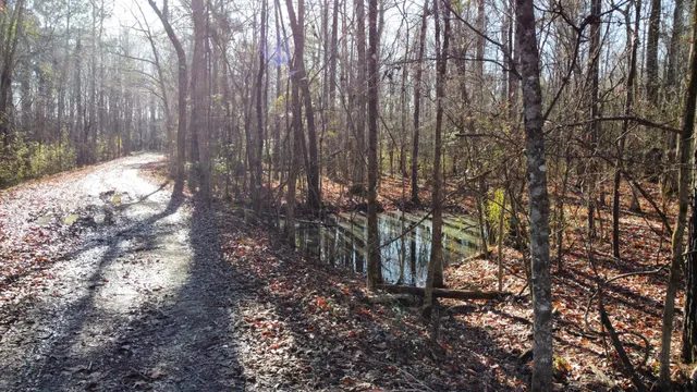 $2,100,000 | 0 Harristown Road, St. Stephen, SC 29479