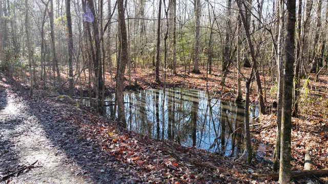 $2,100,000 | 0 Harristown Road, St. Stephen, SC 29479