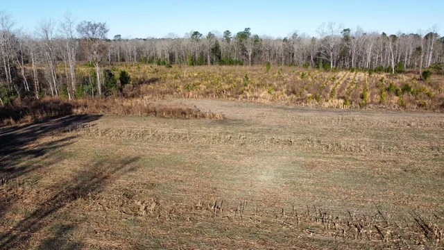 $2,100,000 | 0 Harristown Road, St. Stephen, SC 29479