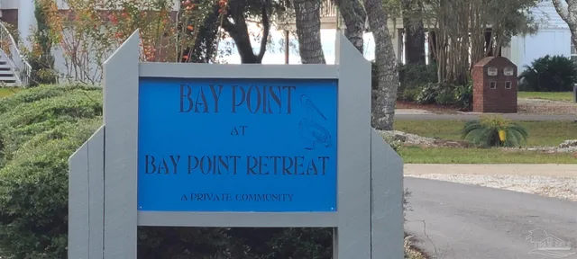 a view of a yard with plants and large trees