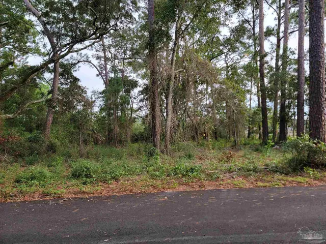 a view of outdoor space with trees