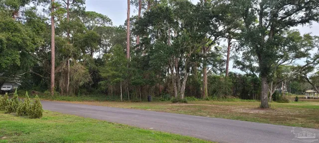 a view of a lake with lots of trees