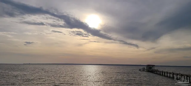 a view of a garden with a lake