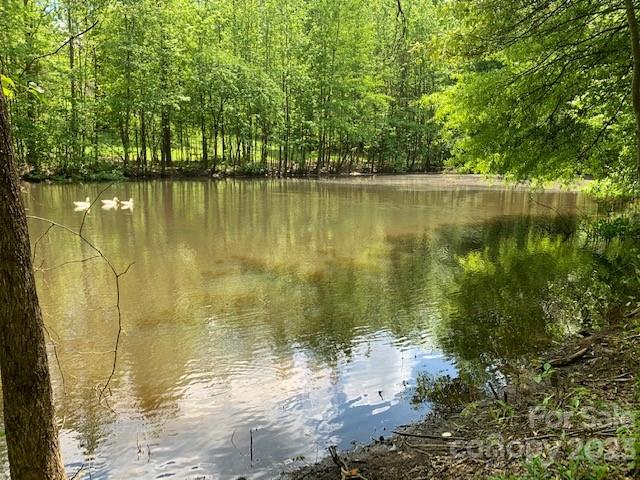 0 Orphanage Road, Unit 4 Concord, NC 28027 - Photo 3 of 3