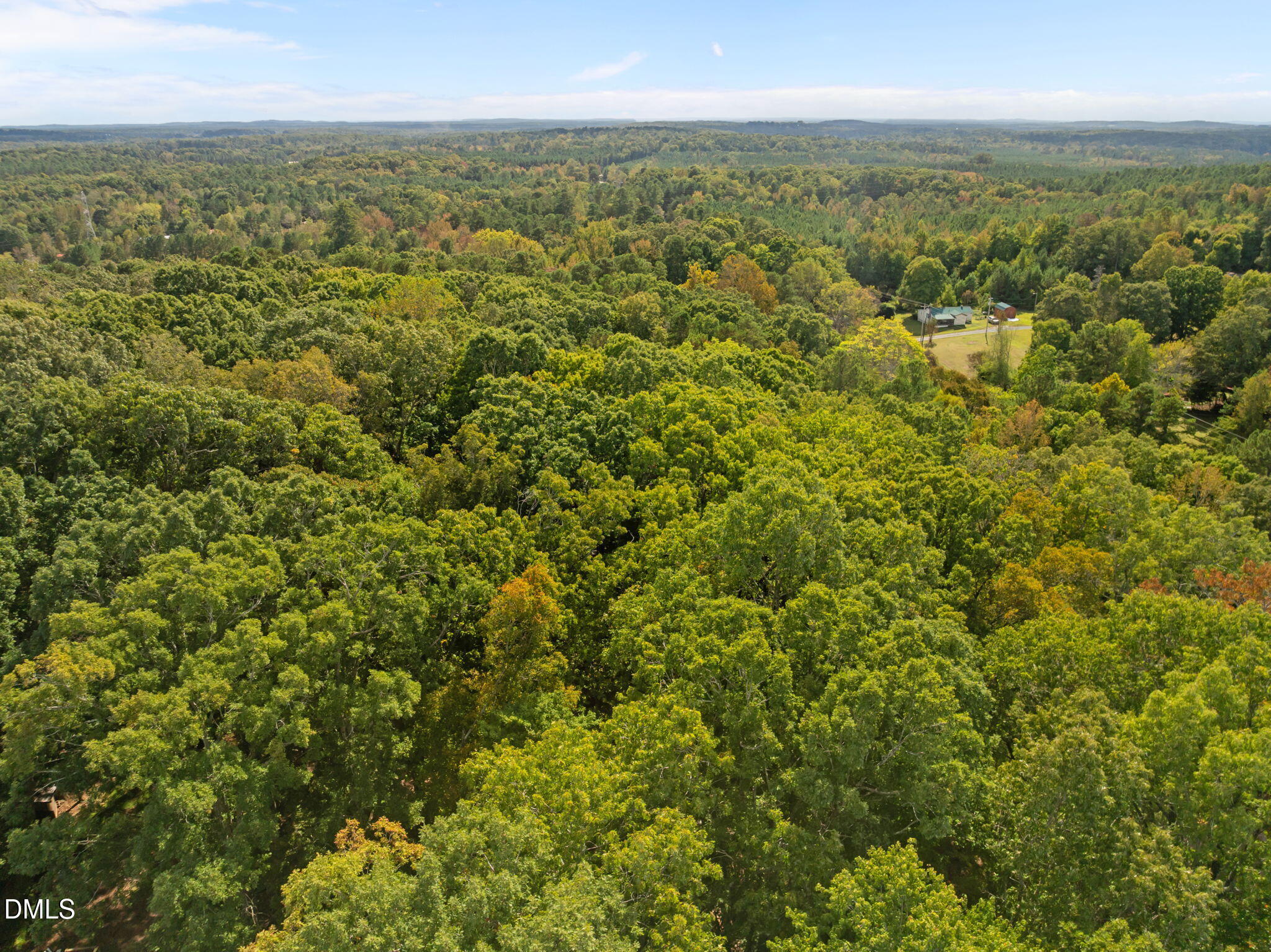 3801 Buckhorn Road Efland, NC 27243 - Photo 12 of 25 a view of a city with lush green forest