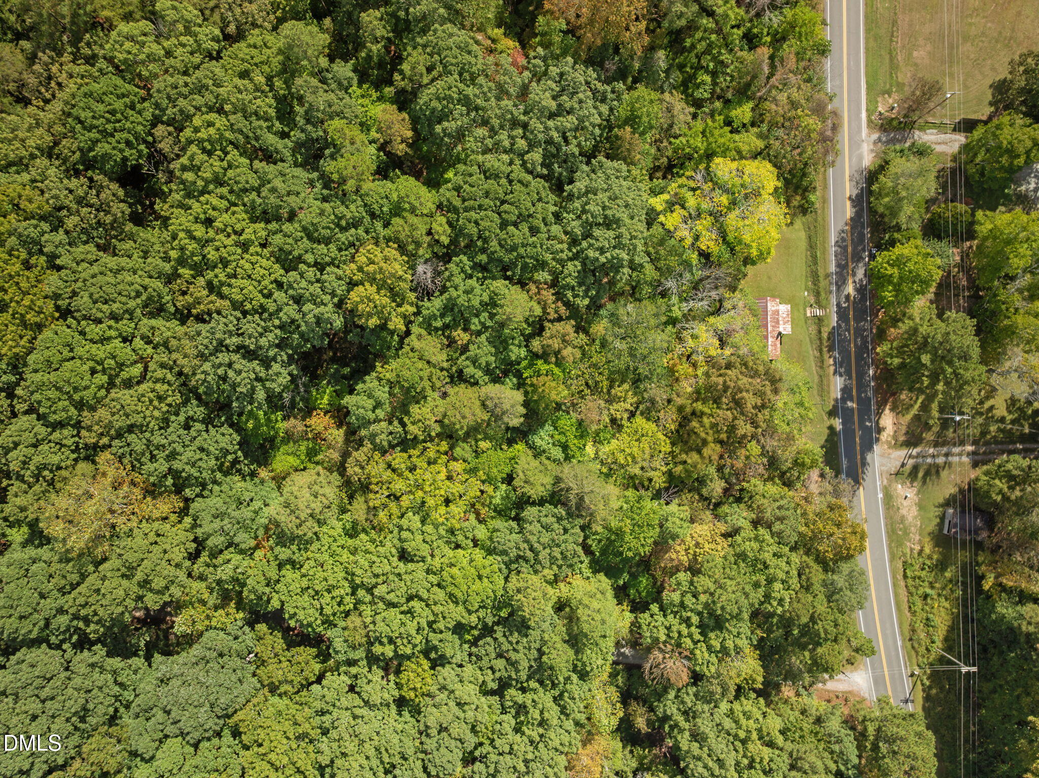 3801 Buckhorn Road Efland, NC 27243 - Photo 20 of 25 a view of a plants of yard