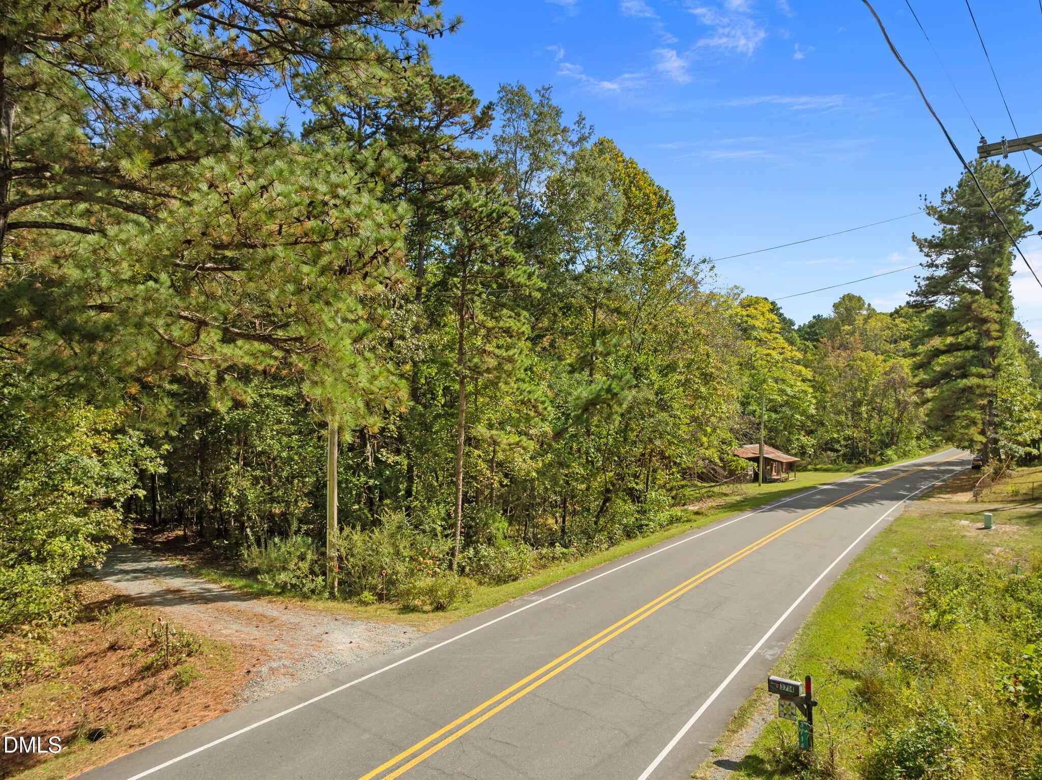 3801 Buckhorn Road Efland, NC 27243 - Photo 6 of 25 a view of a yard with plants