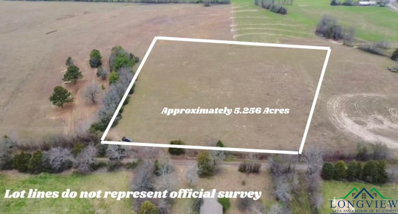 Tbd Chestnut Road Big Sandy, TX 75755 - Photo 2 of 6 Gallery Image 2