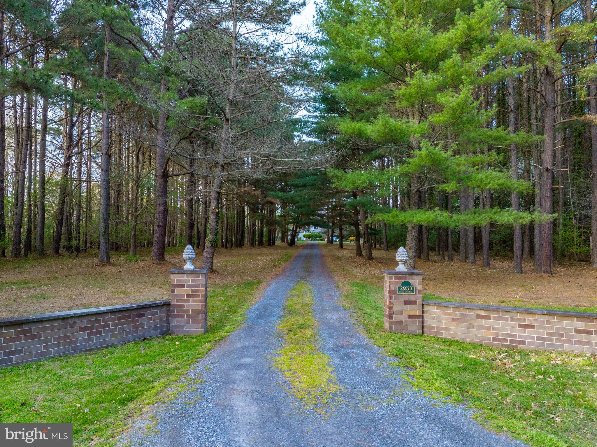 26090 Royal Oak Road Easton, MD 21601 - Photo 69 of 74 Entry to long private drive