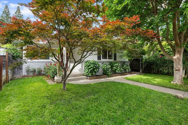 a view of backyard with large trees
