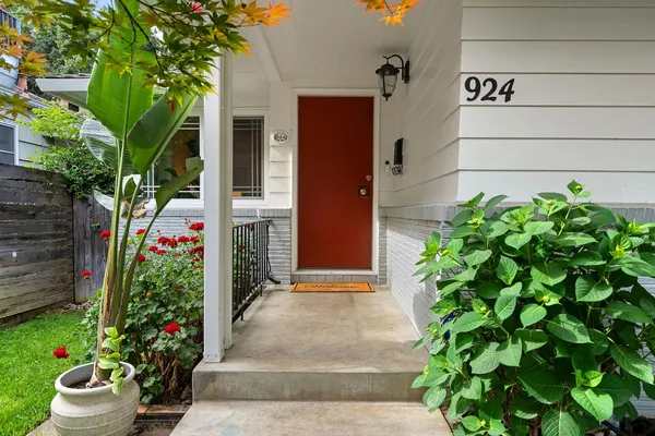 a flower plants with wooden fence