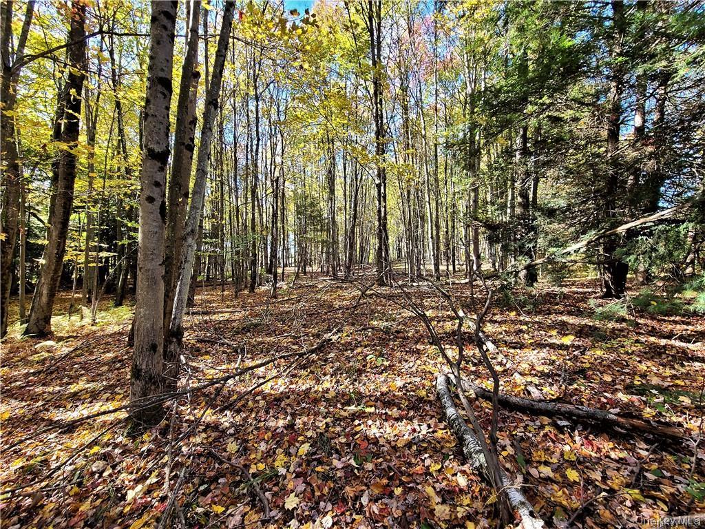 Lot 5.4 Kaufman Road Monticello, NY 12701 - Photo 37 of 45