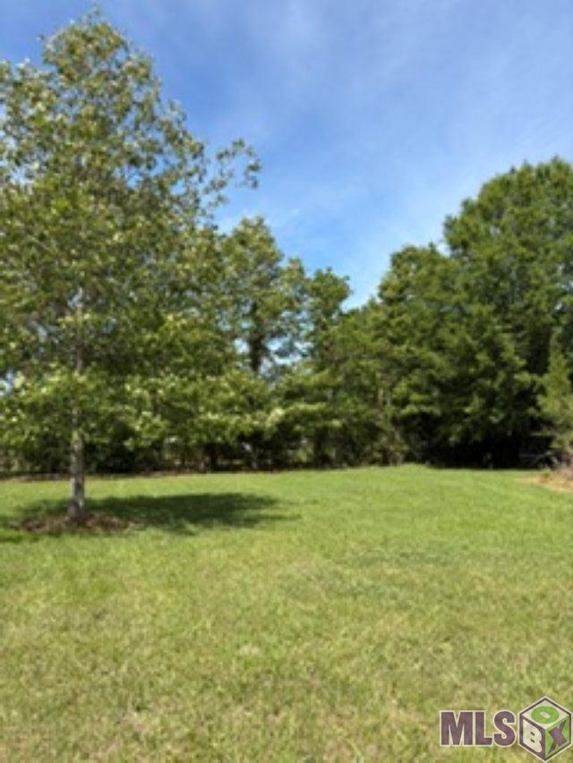 1272 Colonial Drive Jackson, LA 70748 - Photo 7 of 8