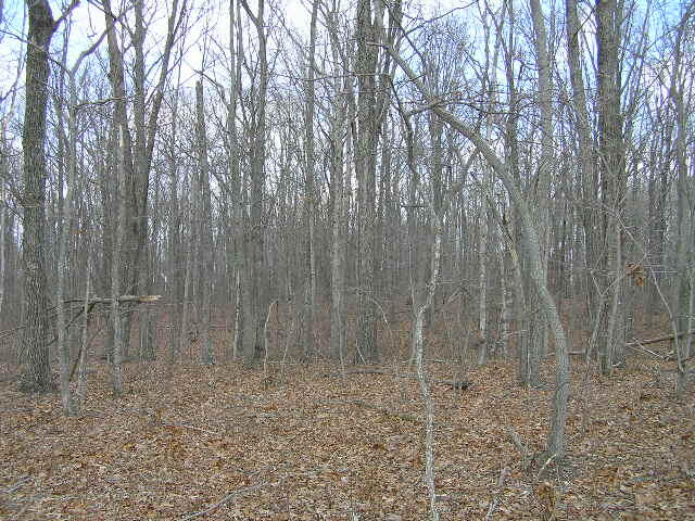 0 Wolf Pen Road, Unit 2 91 AC Dunlap, TN 37327 - Photo 11 of 22 222 015