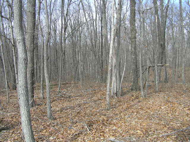 0 Wolf Pen Road, Unit 2 91 AC Dunlap, TN 37327 - Photo 13 of 22 222 017 - Copy