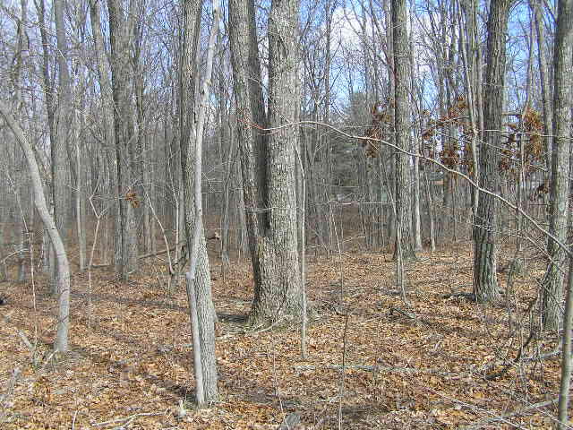 0 Wolf Pen Road, Unit 2 91 AC Dunlap, TN 37327 - Photo 14 of 22 222 018