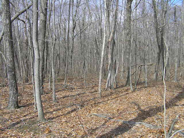 0 Wolf Pen Road, Unit 2 91 AC Dunlap, TN 37327 - Photo 15 of 22 222 019