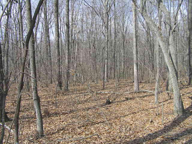0 Wolf Pen Road, Unit 2 91 AC Dunlap, TN 37327 - Photo 16 of 22 222 020