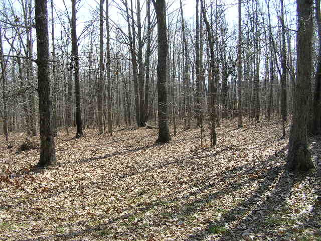 0 Wolf Pen Road, Unit 2 91 AC Dunlap, TN 37327 - Photo 2 of 22 222 005 - Copy