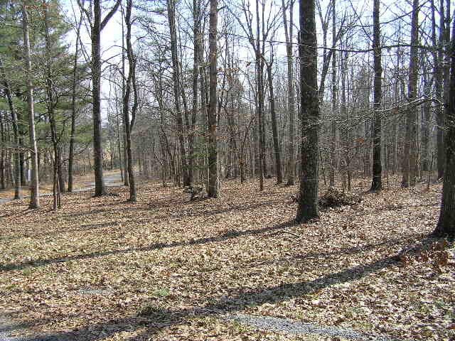 0 Wolf Pen Road, Unit 2 91 AC Dunlap, TN 37327 - Photo 3 of 22 222 006 - Copy