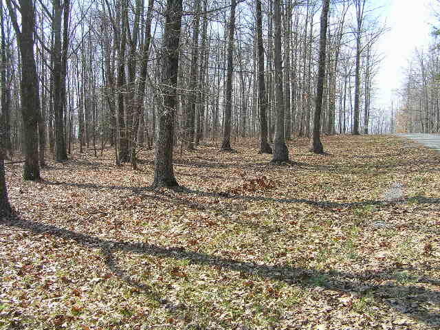 0 Wolf Pen Road, Unit 2 91 AC Dunlap, TN 37327 - Photo 4 of 22 222 007 - Copy