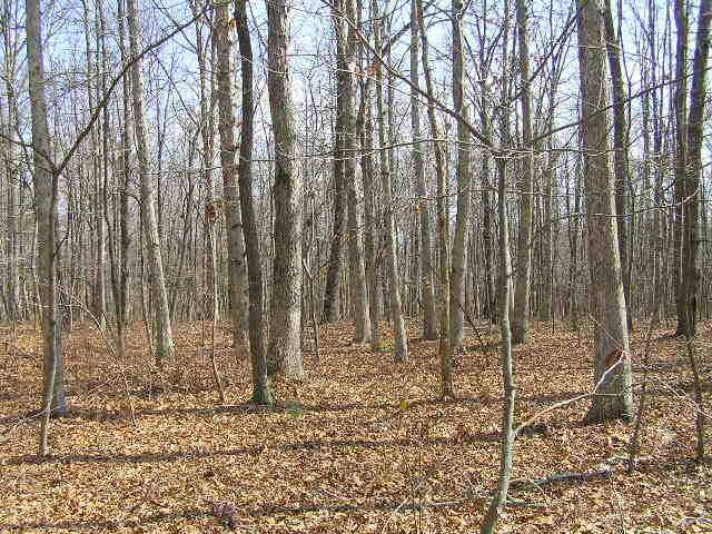 0 Wolf Pen Road, Unit 2 91 AC Dunlap, TN 37327 - Photo 7 of 22 222 011