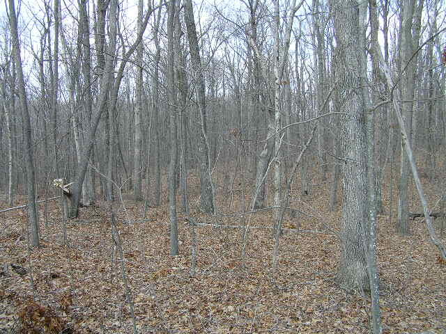 0 Wolf Pen Road, Unit 2 91 AC Dunlap, TN 37327 - Photo 8 of 22 222 012