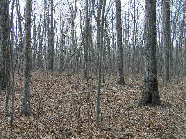 0 Wolf Pen Road, Unit 2 91 AC Dunlap, TN 37327 - Photo 9 of 22 222 013