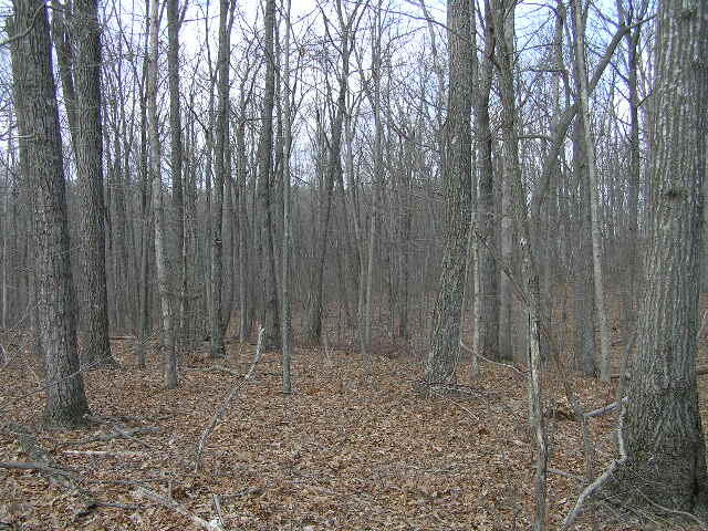 0 Wolf Pen Road, Unit 2 91 AC Dunlap, TN 37327 - Photo 10 of 22 222 014