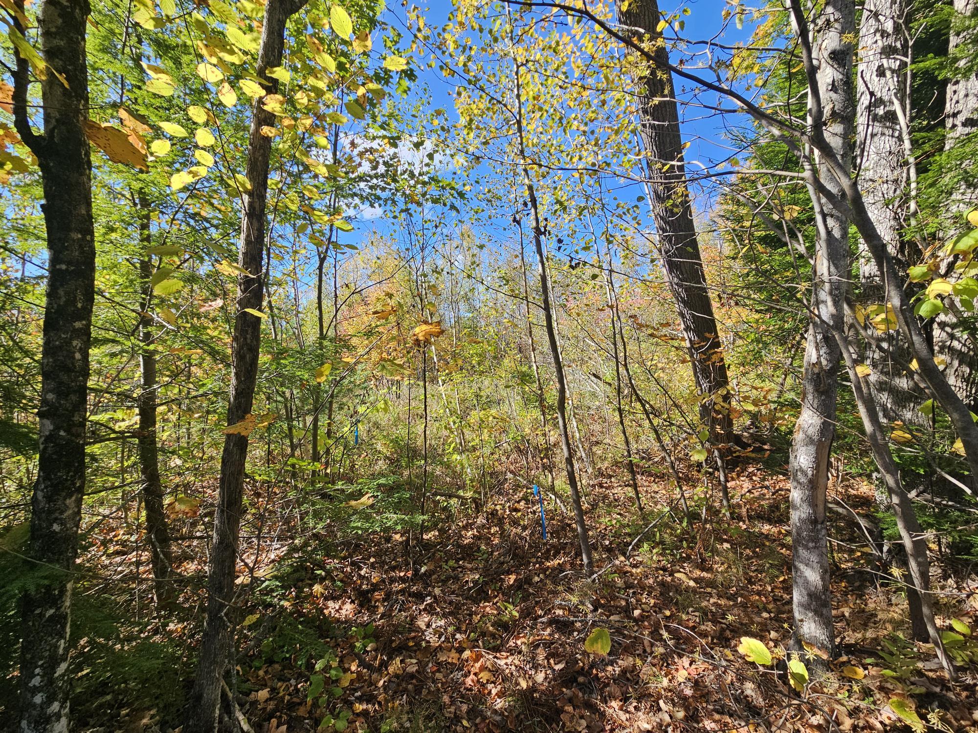 59-007 Soper's Mill Road Auburn, ME 04210 - Photo 1 of 41 20251009_133858