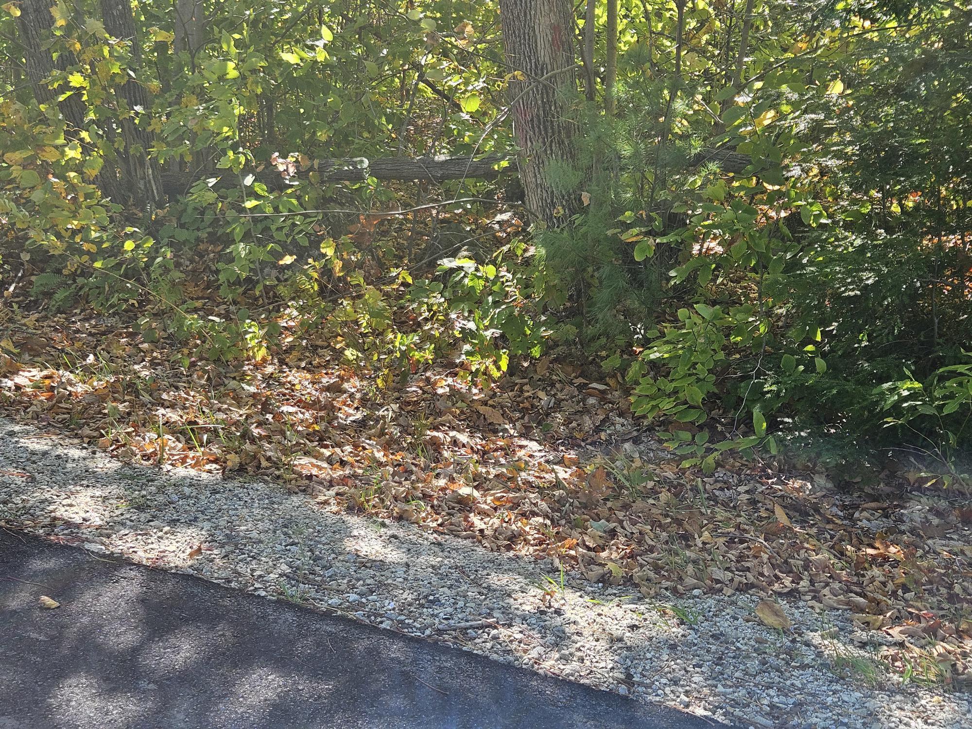 59-007 Soper's Mill Road Auburn, ME 04210 - Photo 12 of 41 20251009_134338