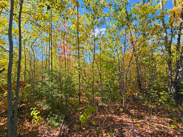 $79,900 | 59-007 Soper's Mill Road, Auburn, ME 04210