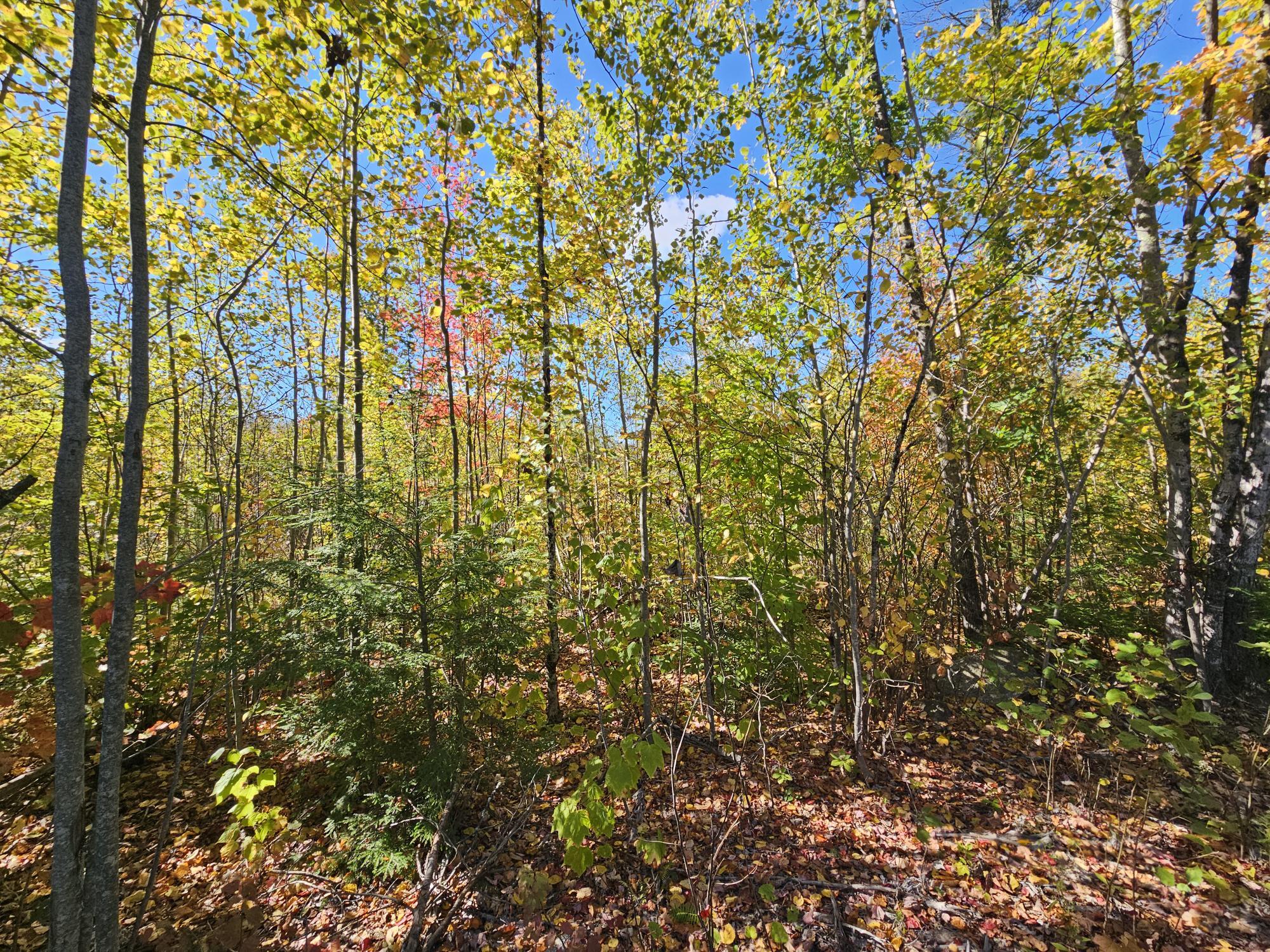 59-007 Soper's Mill Road Auburn, ME 04210 - Photo 13 of 41 20251009_133828