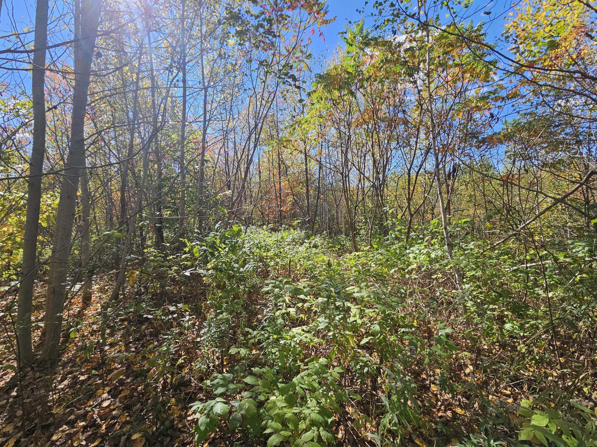 59-007 Soper's Mill Road Auburn, ME 04210 - Photo 14 of 41 20251009_134032