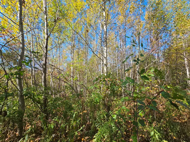 $79,900 | 59-007 Soper's Mill Road, Auburn, ME 04210