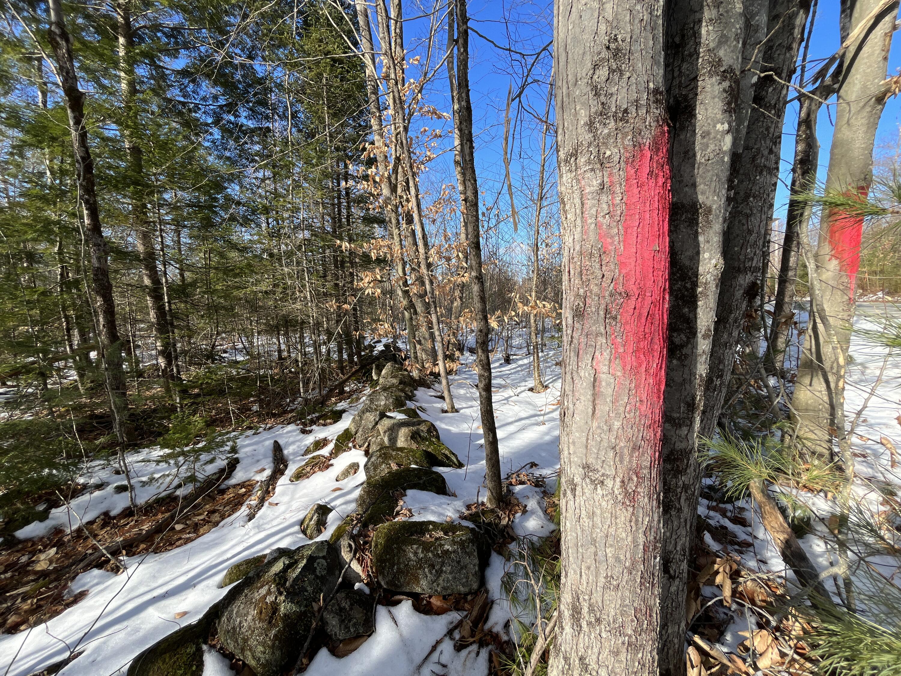 59-007 Soper's Mill Road Auburn, ME 04210 - Photo 19 of 41 IMG_7068