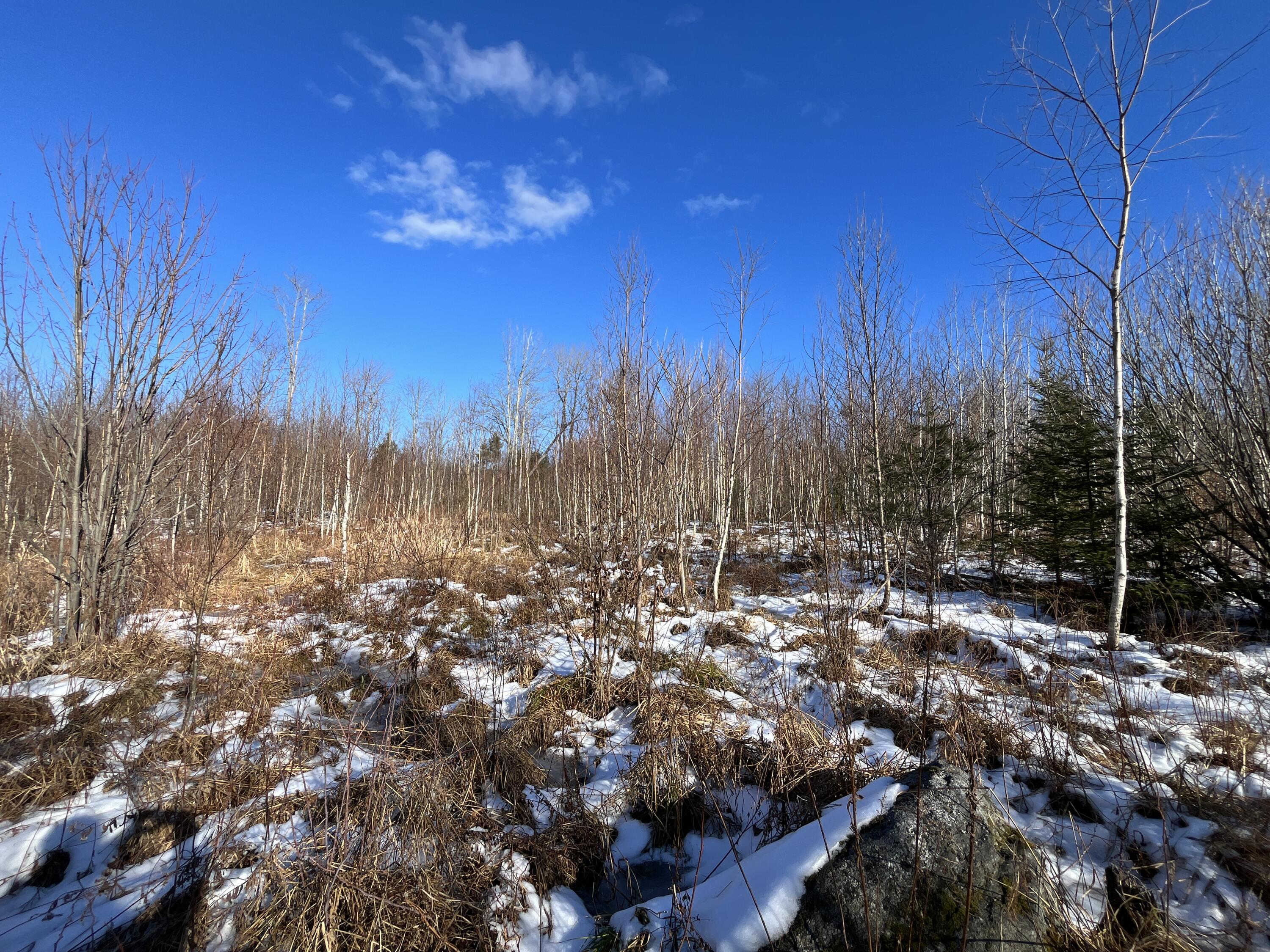59-007 Soper's Mill Road Auburn, ME 04210 - Photo 21 of 41 IMG_7076