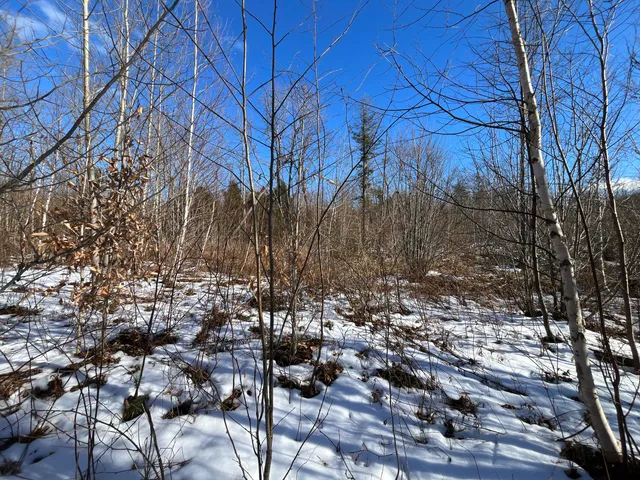 $79,900 | 59-007 Soper's Mill Road, Auburn, ME 04210