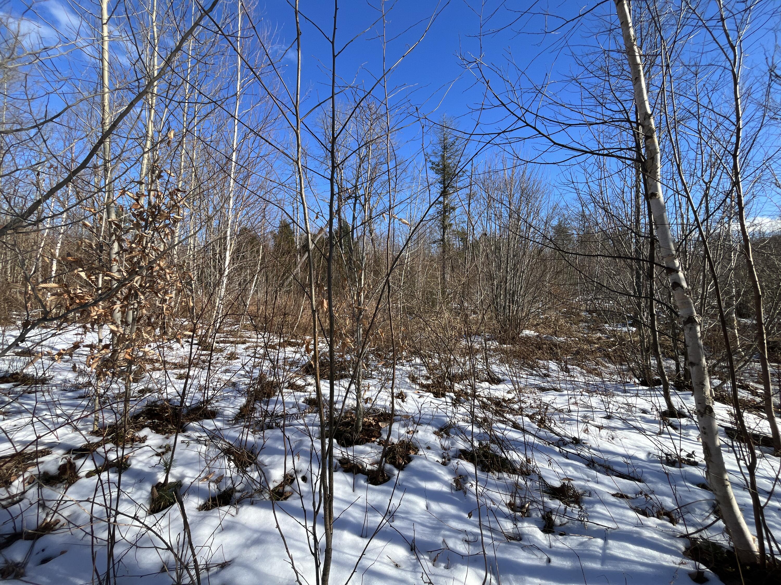 59-007 Soper's Mill Road Auburn, ME 04210 - Photo 22 of 41 IMG_7079