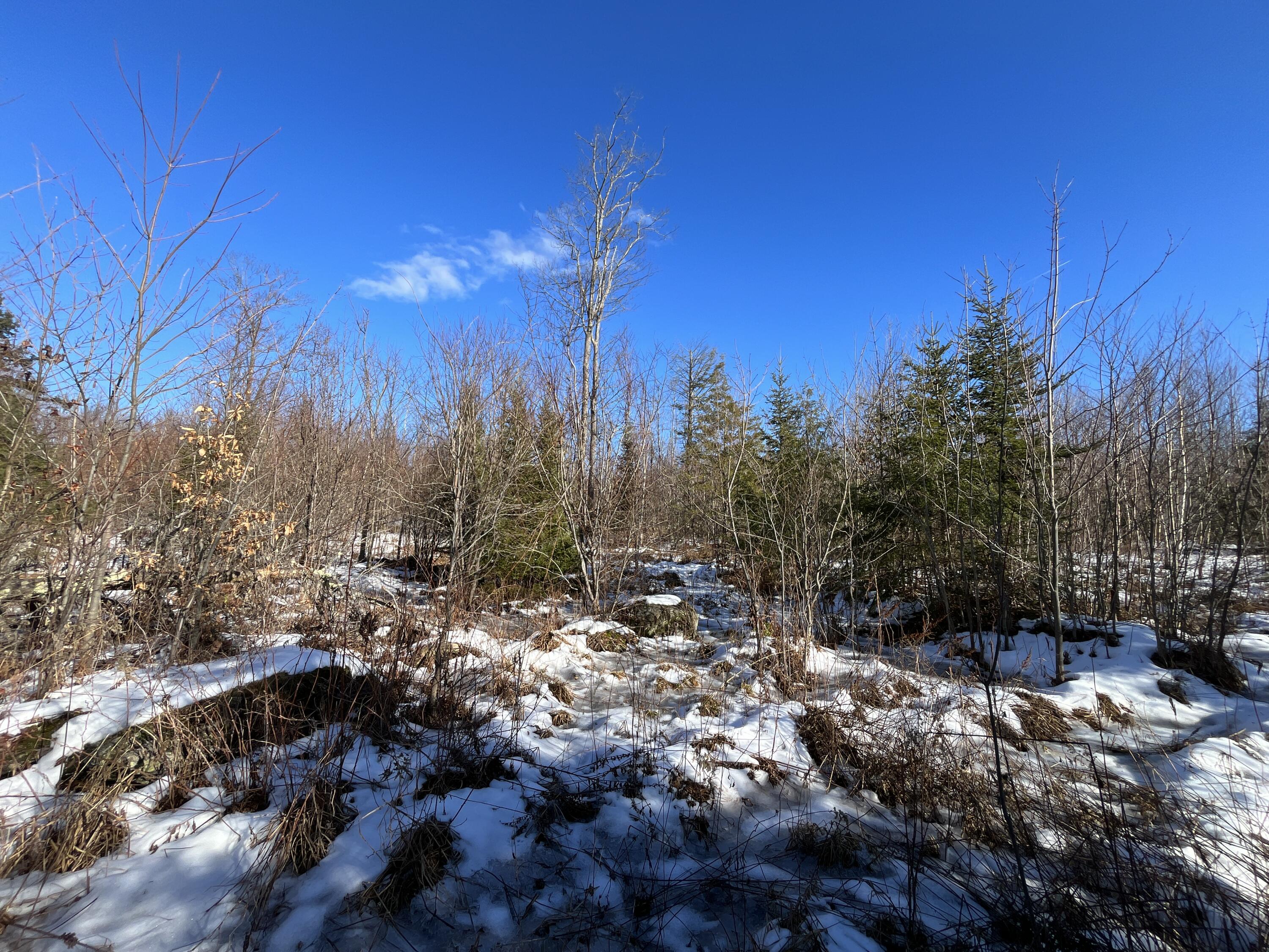 59-007 Soper's Mill Road Auburn, ME 04210 - Photo 24 of 41 IMG_7083