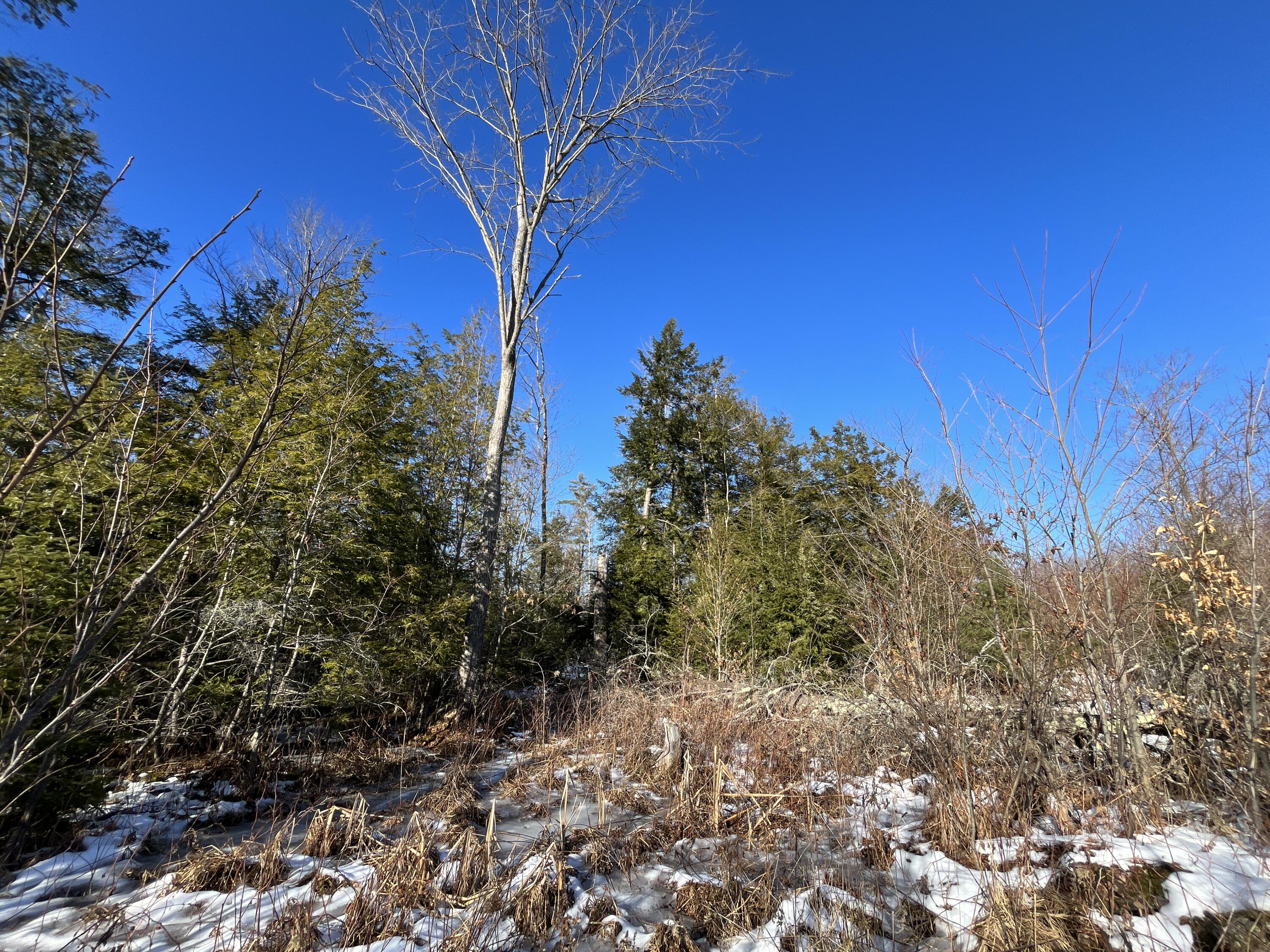 59-007 Soper's Mill Road Auburn, ME 04210 - Photo 25 of 41 IMG_7086