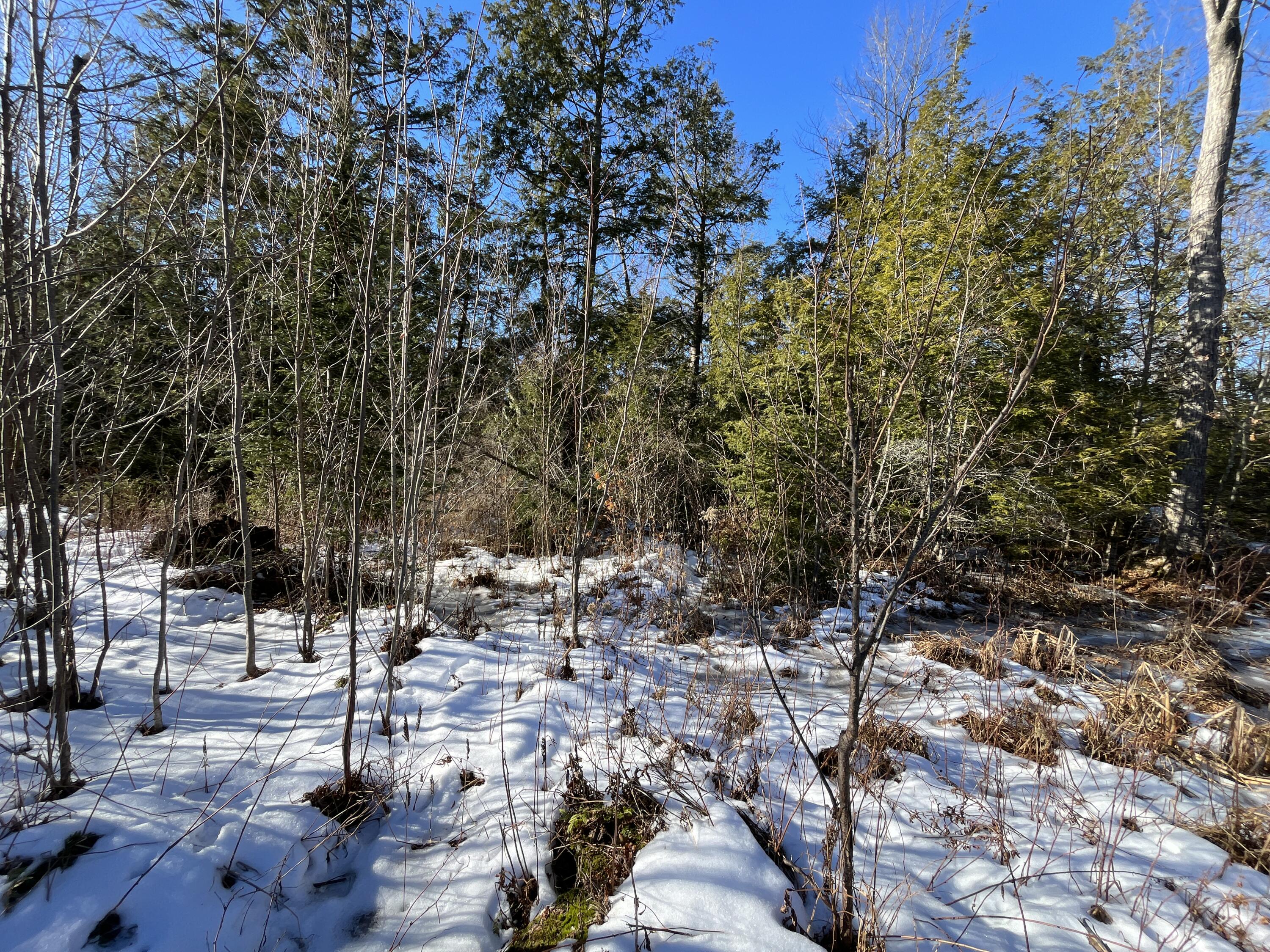 59-007 Soper's Mill Road Auburn, ME 04210 - Photo 26 of 41 IMG_7087