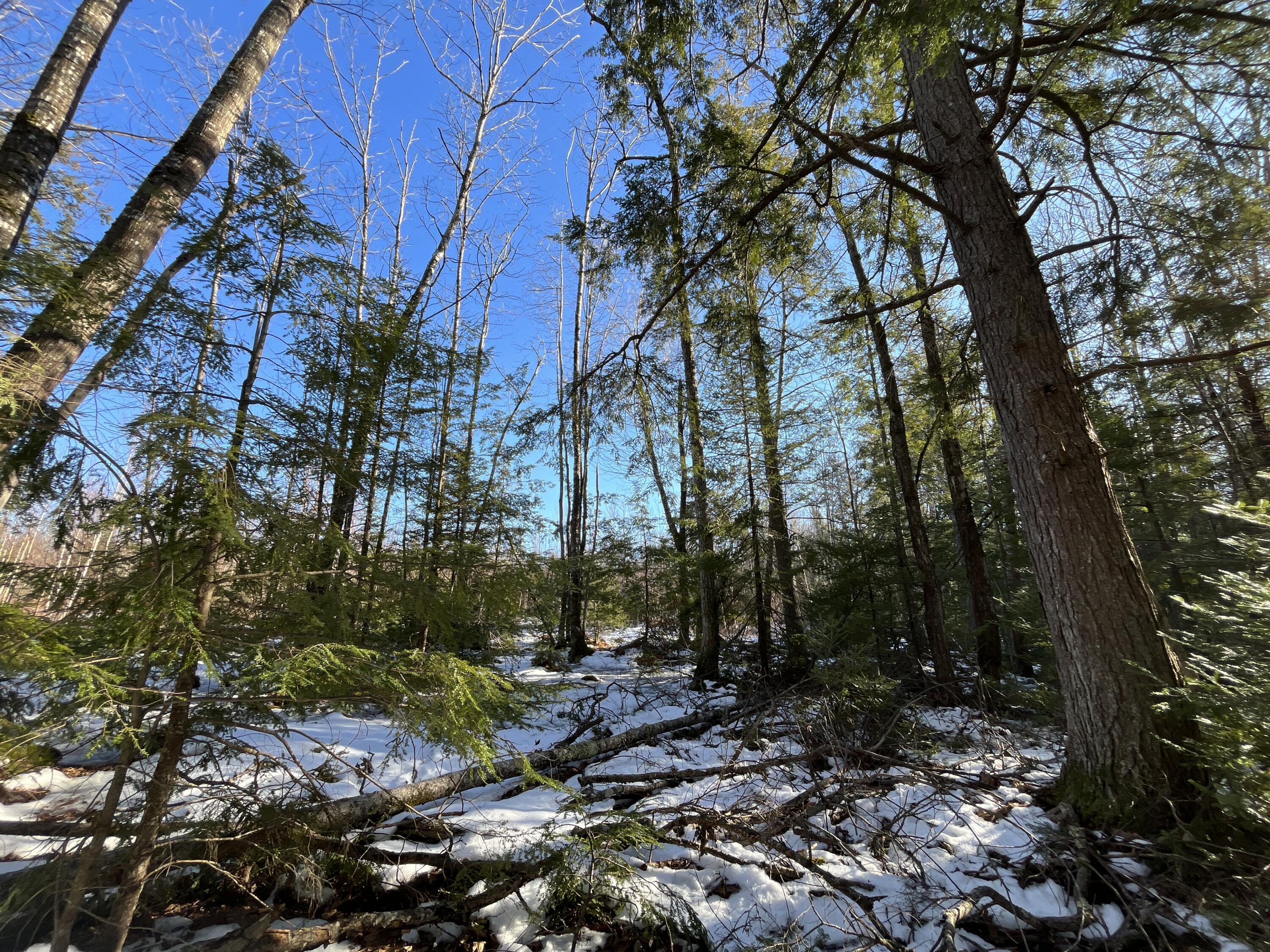 59-007 Soper's Mill Road Auburn, ME 04210 - Photo 28 of 41 IMG_7090