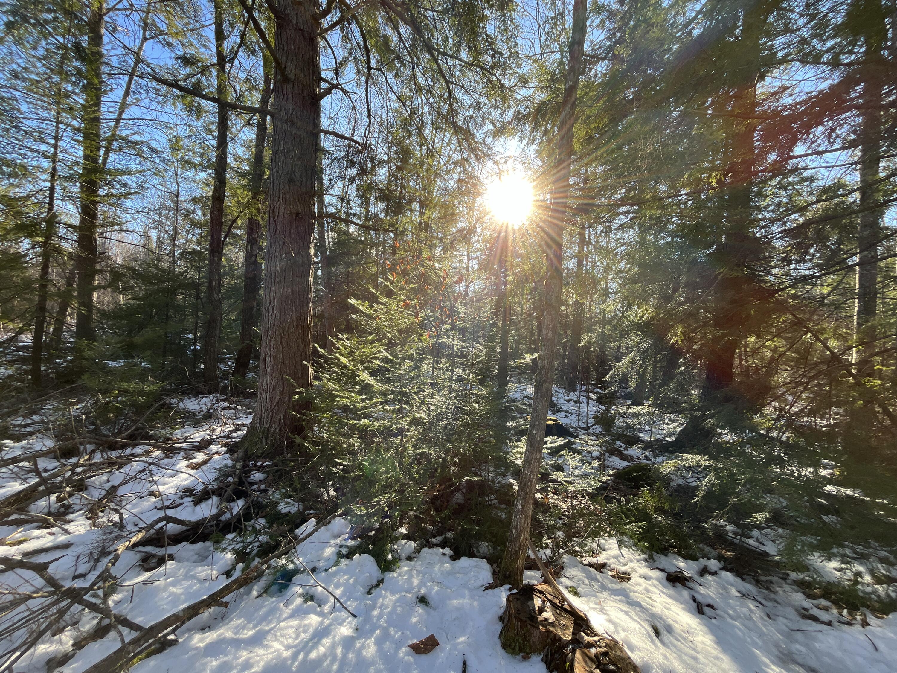 59-007 Soper's Mill Road Auburn, ME 04210 - Photo 29 of 41 IMG_7091