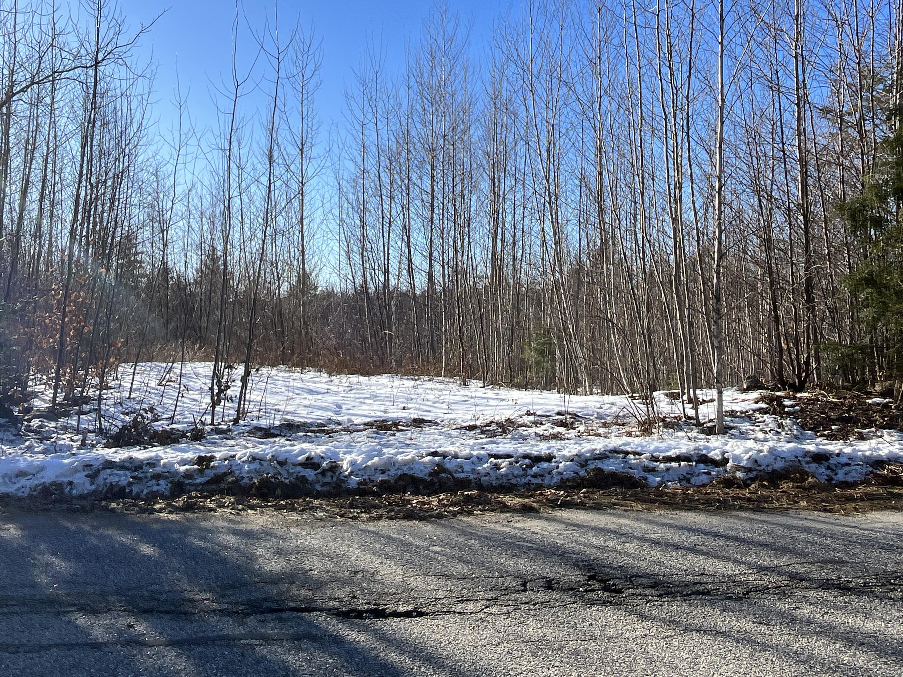 59-007 Soper's Mill Road Auburn, ME 04210 - Photo 30 of 41 Overgrown driveway