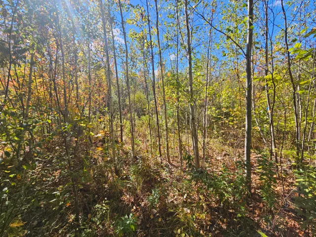 $79,900 | 59-007 Soper's Mill Road, Auburn, ME 04210