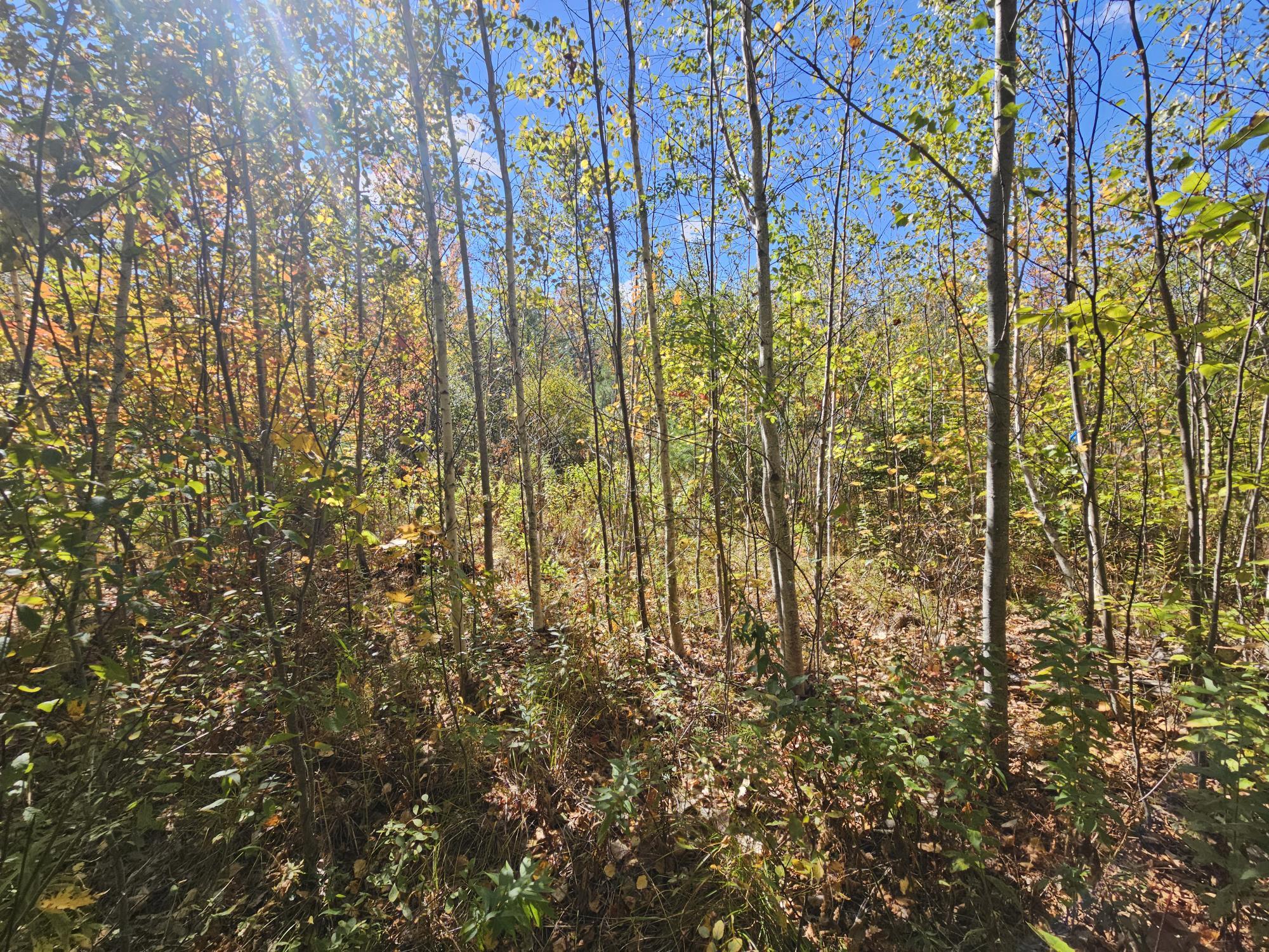 59-007 Soper's Mill Road Auburn, ME 04210 - Photo 3 of 41 20251009_133408