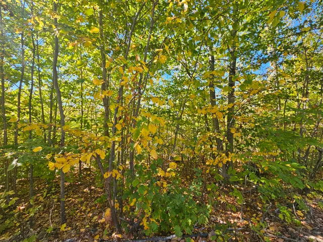 $79,900 | 59-007 Soper's Mill Road, Auburn, ME 04210