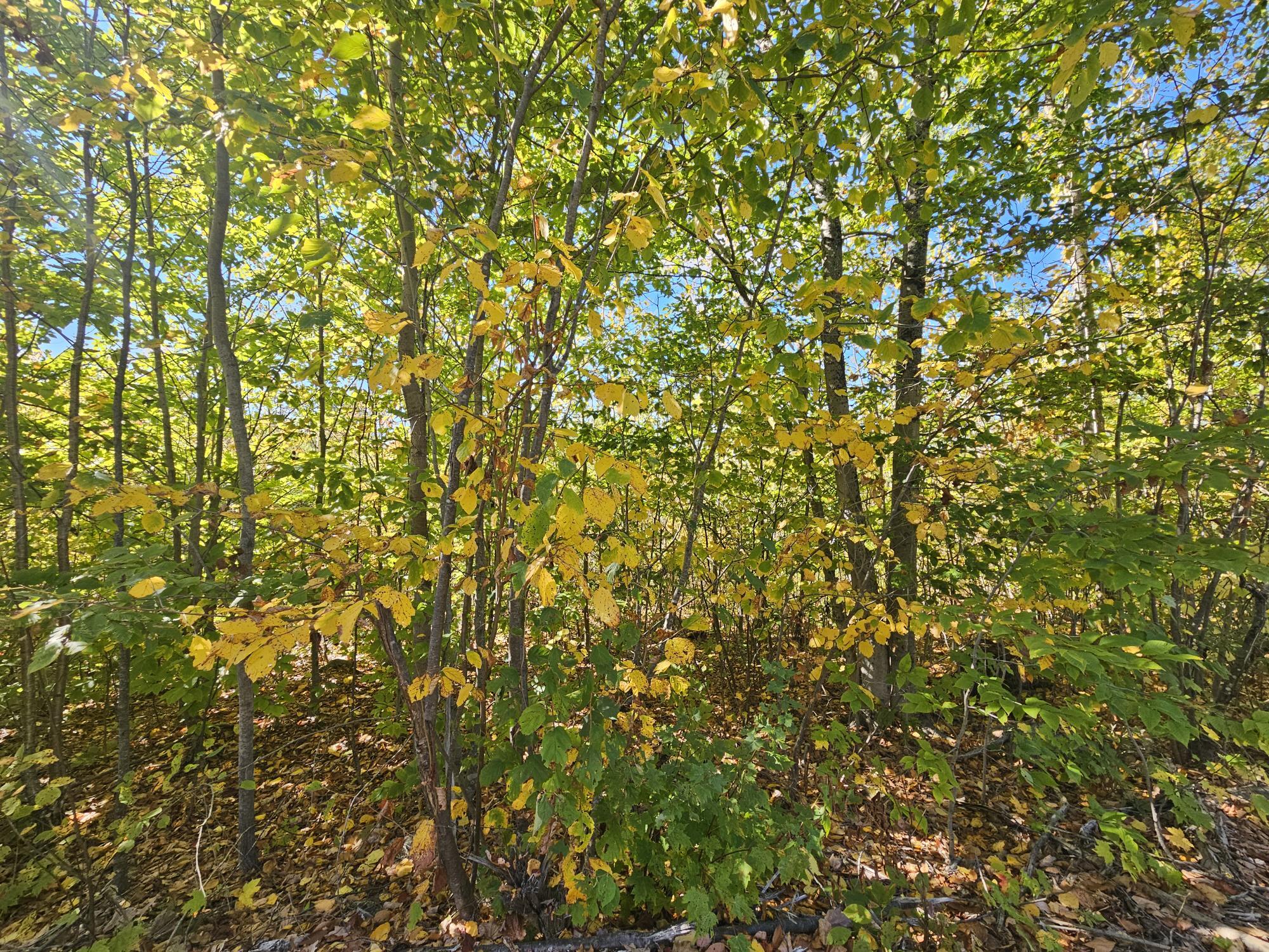 59-007 Soper's Mill Road Auburn, ME 04210 - Photo 5 of 41 20251009_133802